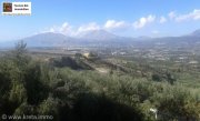 Vori Kreta, Vori Olivenhain 200.000m² mit 2 Gebäuden zu verkaufen Grundstück kaufen